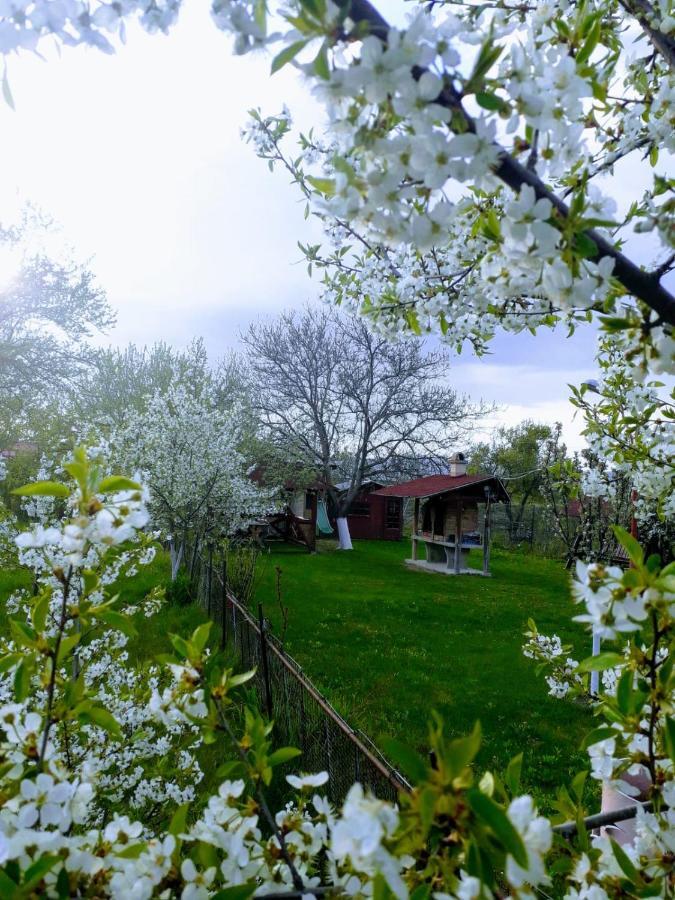 Casa Stely Otel Rîşnov Dış mekan fotoğraf